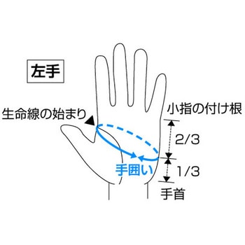 E.G.UVカットグローブ EverGreen INTERNATIONAL