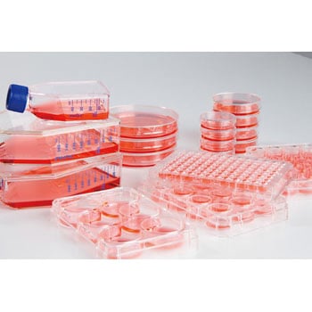 174925 Nunclon Sphera \ʏe(NUNC) Thermo Fisher Scientific 28605579