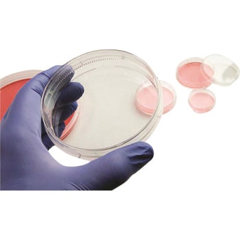 細胞培養用イージーディッシュ(NUNC) Thermo Fisher Scientific