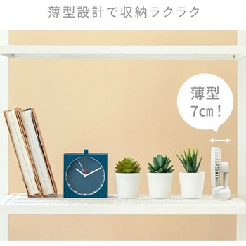 コンパクトFAN TOPLAND