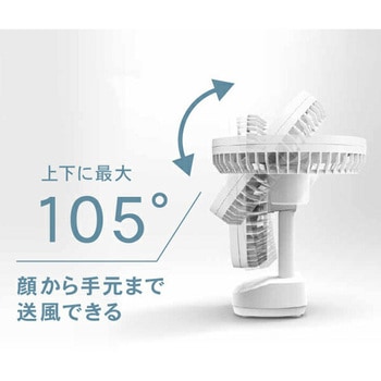 コンパクトFAN TOPLAND