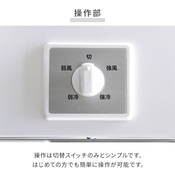 TSA-Y29 スポットエアコン ツインダクト 1台 YAMAZEN(山善) 【通販