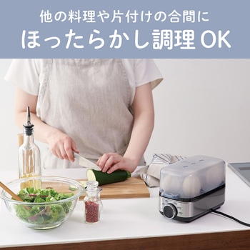 エッグスチーマープラス コイズミ