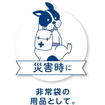 HappyDaysお出かけ用除菌ウェットタオル ペットプロジャパン