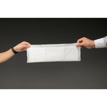 デオフリーシステムトイレ用強力炭消臭シート ペットプロジャパン