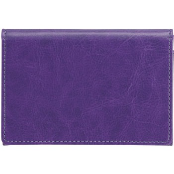 CRPN-01-V 名刺入 パイロット 28631847