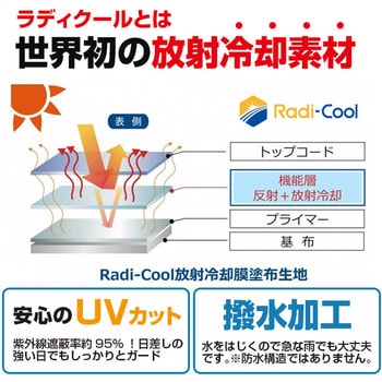 ラディクール放射冷却 インナーキャップ ブレイン
