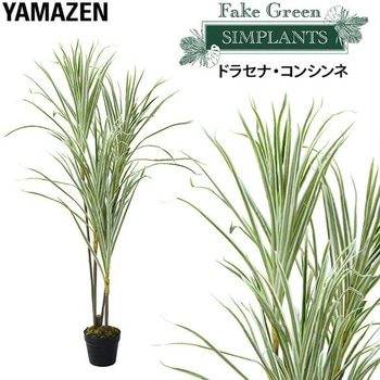 フェイクグリーン ドラセナ・コンシンネ YAMAZEN(山善)
