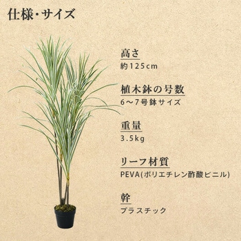 フェイクグリーン ドラセナ・コンシンネ YAMAZEN(山善)