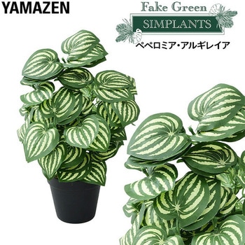 フェイクグリーン ペペロミア・アルギレイア YAMAZEN(山善)