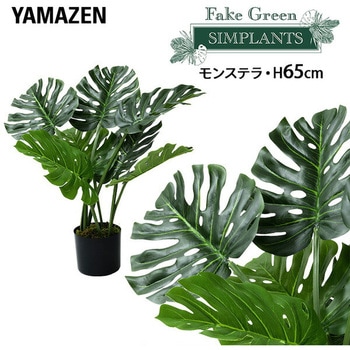 フェイクグリーン モンステラ・デシリオーサ YAMAZEN(山善)