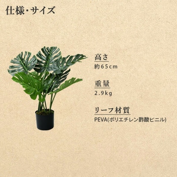 フェイクグリーン モンステラ・デシリオーサ YAMAZEN(山善)