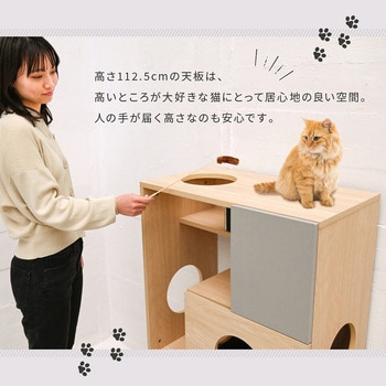 FNK-0002 扉付きキャビネット 猫家具 キャットウォーク ペット用品収納 キャットタワー オープン収納ラック 1台 ジェイケイ・プラン  【通販モノタロウ】