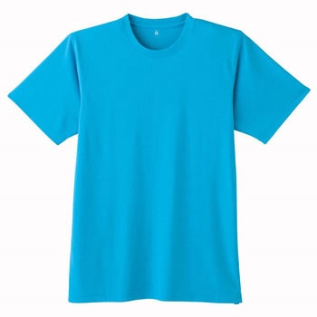 9 ����T�V���c 009 Asahicho(�����@��) �����|���G�X�e��100% 28673603