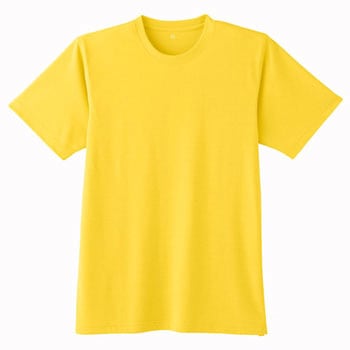 9 ����T�V���c 009 Asahicho(�����@��) �����|���G�X�e��100% 28673786