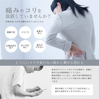 シートマッサージャー アルインコ