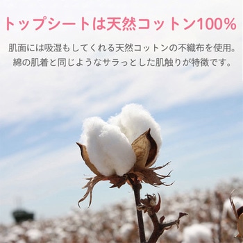 生理用ナプキン 多い日の昼用(羽つき) NaturaMoon