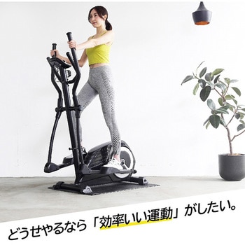 トレックトレーナー アルインコ