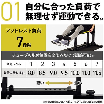 マルチワークアウトジム アルインコ