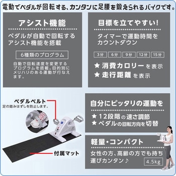 電動楽らくムーブサイクル アルインコ