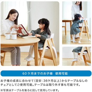 ハイブリッドハイチェア プラッキー カトージ