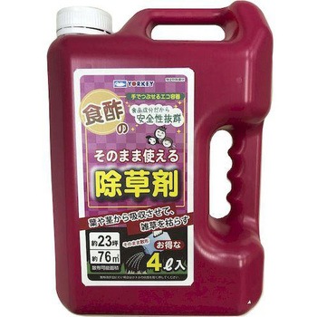 - ���̂܂܎g����H�|�̏����� ���[�L�Y�� �t�� 28695505