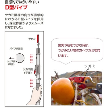 伸縮式高枝鋏ズームチョキエコノ採集タイプ2m アルス