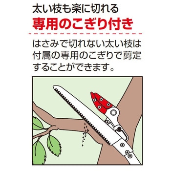 伸縮式高枝鋏ズームチョキエコノ採集タイプ2m アルス