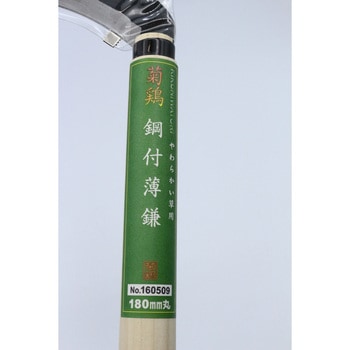 菊鶏 鋼付薄鎌 キンボシ