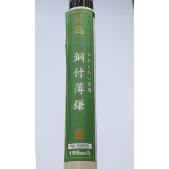 菊鶏 鋼付薄鎌 キンボシ