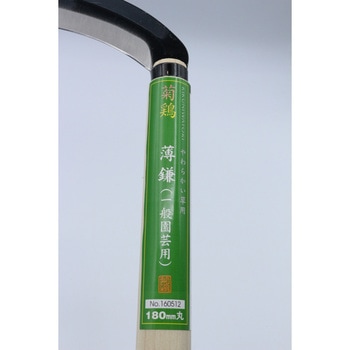 菊鶏 薄鎌 180mm キンボシ