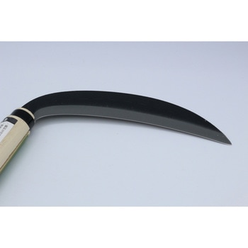 菊鶏 全鋼中厚鎌 180mm キンボシ