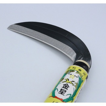 にんじん鎌 キンボシ
