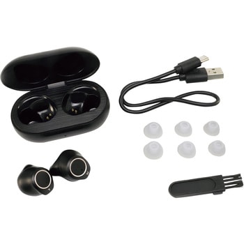エニックス コンパクト集音器 耳穴型 両耳用 USB充電 KSOK-01-2