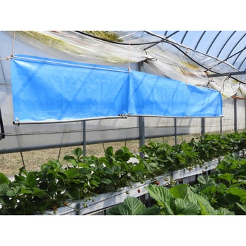 虫ペタッと大判粘着シート 小泉製麻