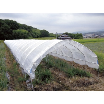 バロンスクリーンホワイト涼風 小泉製麻