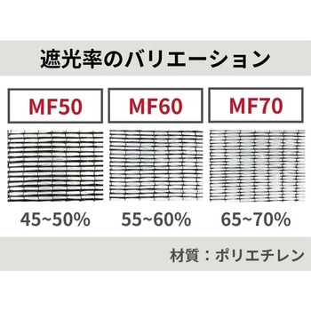 バロンスクリーンホワイト涼風 小泉製麻