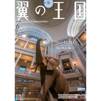バロンスクリーンホワイト涼風 小泉製麻