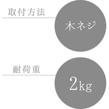 タオル掛け(木ネジ) LEC(レック)