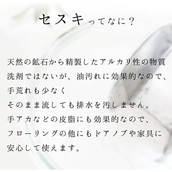 セスキの激落ちシート ウェット LEC(レック)