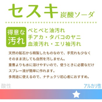 激落ちくん セスキ炭酸ソーダー レック Lec 重曹 クエン酸 セスキ炭酸ソーダ 通販モノタロウ S 791