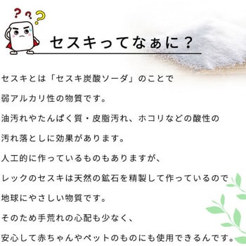 激落ちくん セスキ泡スプレー レック(LEC)