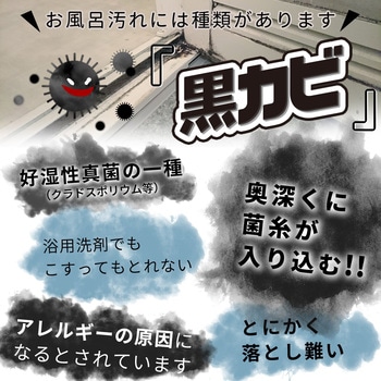黒カビくん カビとり泡スプレー LEC(レック)
