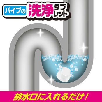 黒カビくん パイプ洗浄タブレット LEC(レック)