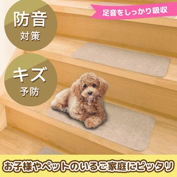 吸着階段マット レック(LEC)