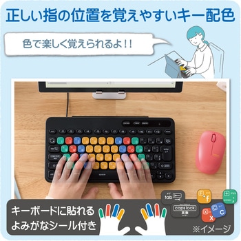 キーボード 有線 USB接続 メンブレン式 ミニサイズ Caps Lock機能無効化スイッチ 【 Windows PC Chromebook 対応 】 抗菌 カードスタンド付 エレコム