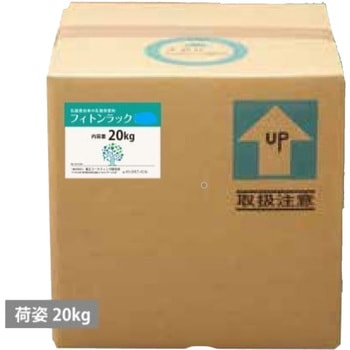 フィトンラックBD-65 (アルコール+発酵乳酸 除菌液) 東京マーケテイング研究所
