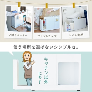 monowa027 キッチンサイド調味料ストッカー 大河商事