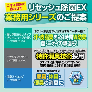 Kao リセッシュ専用詰替ボトル(空ボトル) 花王