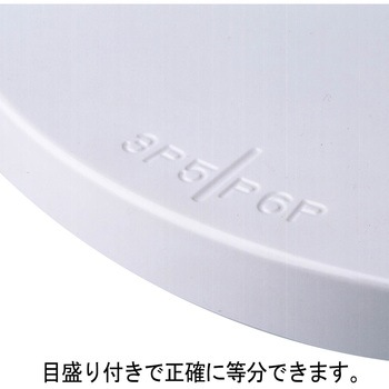 トラクタクールスタンド 27cm タイガークラウン